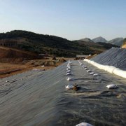 垃圾填埋场专用水蜜桃久久夜色成人精品膜