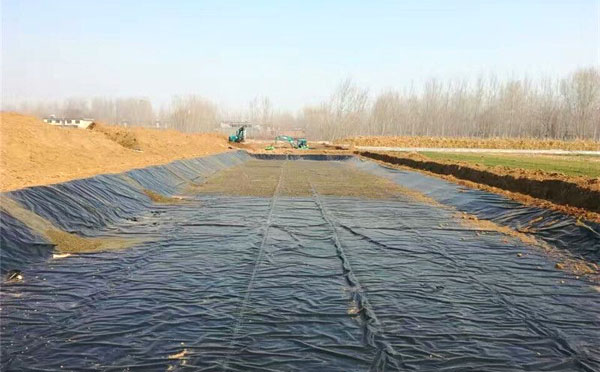 水蜜桃久久夜色成人精品膜价格