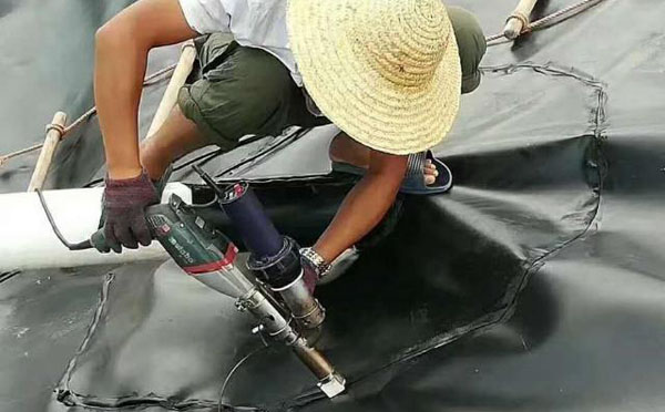 水蜜桃久久夜色成人精品膜的应用