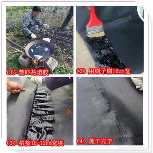 精品无码一区二区三区水蜜桃承传胶粘法