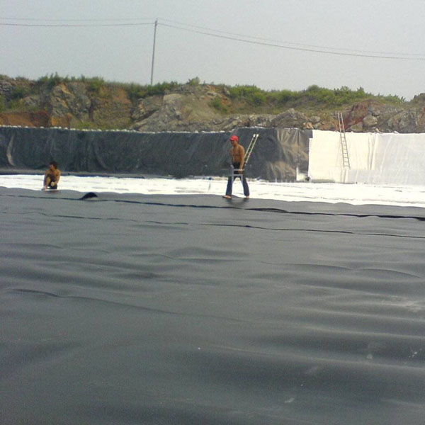 水蜜桃久久夜色成人精品膜