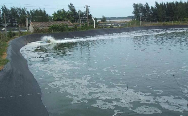 水池水蜜桃久久夜色成人精品膜