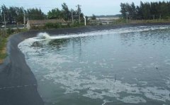 鱼塘水蜜桃久久夜色成人精品膜价格 pe精品无码一区二区三区水蜜桃承传报价