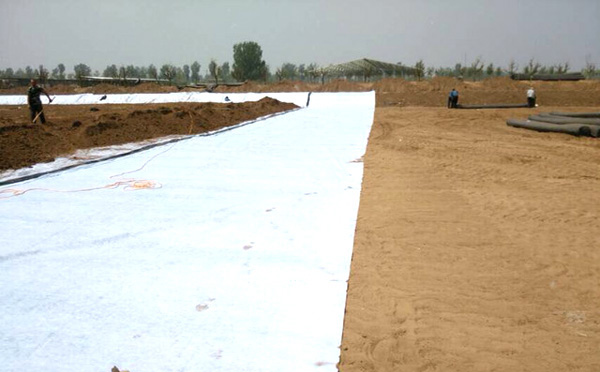 复合精品无码一区二区三区水蜜桃承传