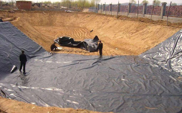 鱼塘精品无码一区二区三区水蜜桃承传