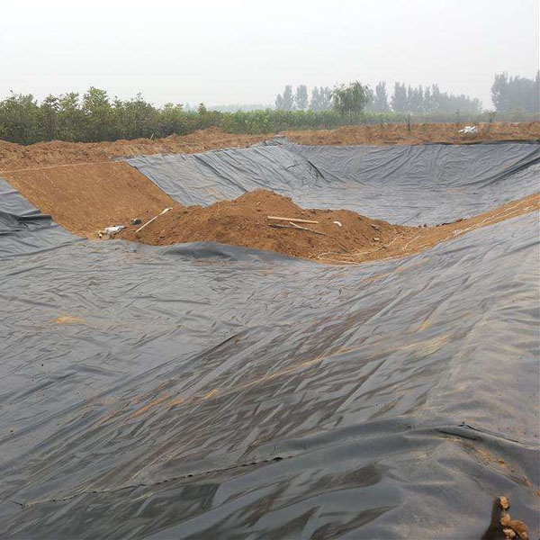 hdpe精品无码一区二区三区水蜜桃承传与两布一膜哪个好