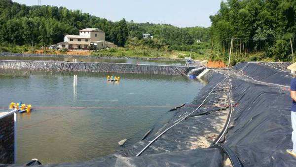 鱼塘水蜜桃久久夜色成人精品膜