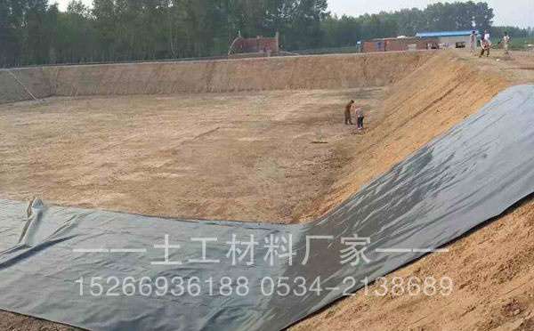 鱼塘水蜜桃久久夜色成人精品膜