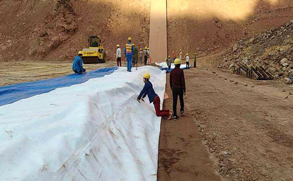 水蜜桃久久夜色成人精品膜