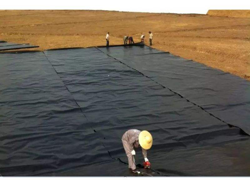 精品无码一区二区三区水蜜桃承传