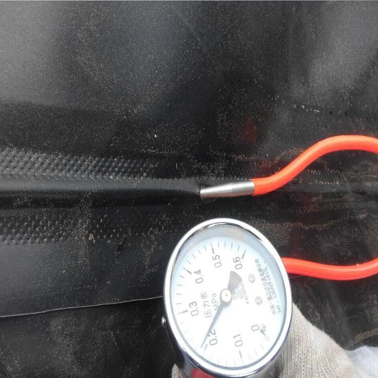 精品无码一区二区三区水蜜桃承传打压测试