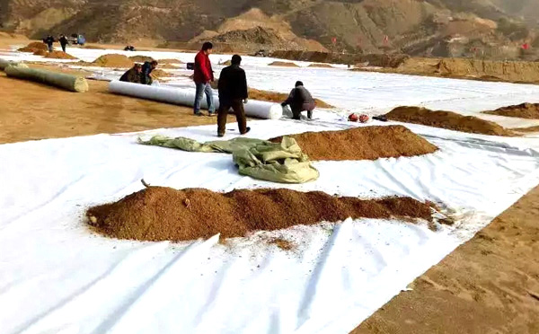 复合精品无码一区二区三区水蜜桃承传铺设