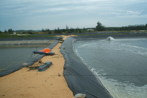 精品无码一区二区三区水蜜桃承传