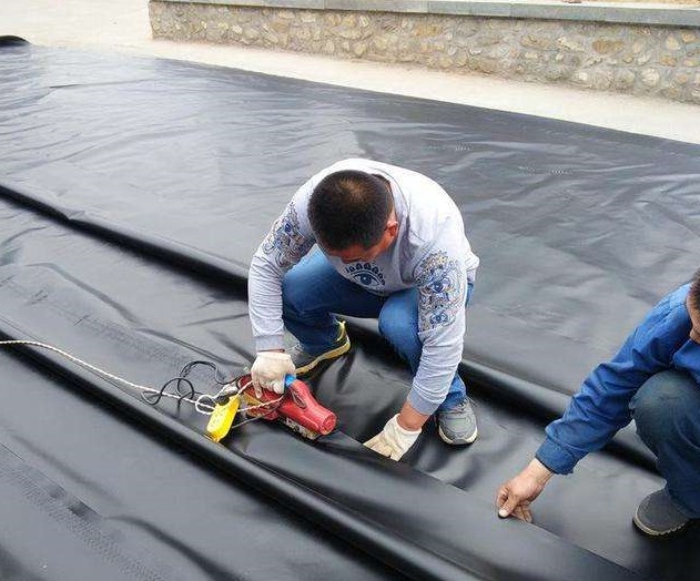 精品无码一区二区三区水蜜桃承传焊接