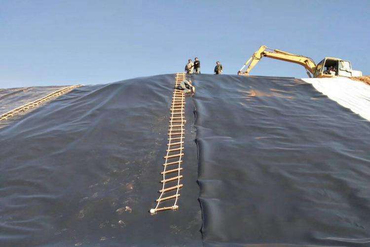 精品无码一区二区三区水蜜桃承传