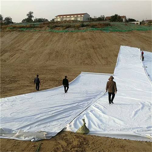 精品无码一区二区三区水蜜桃承传施工