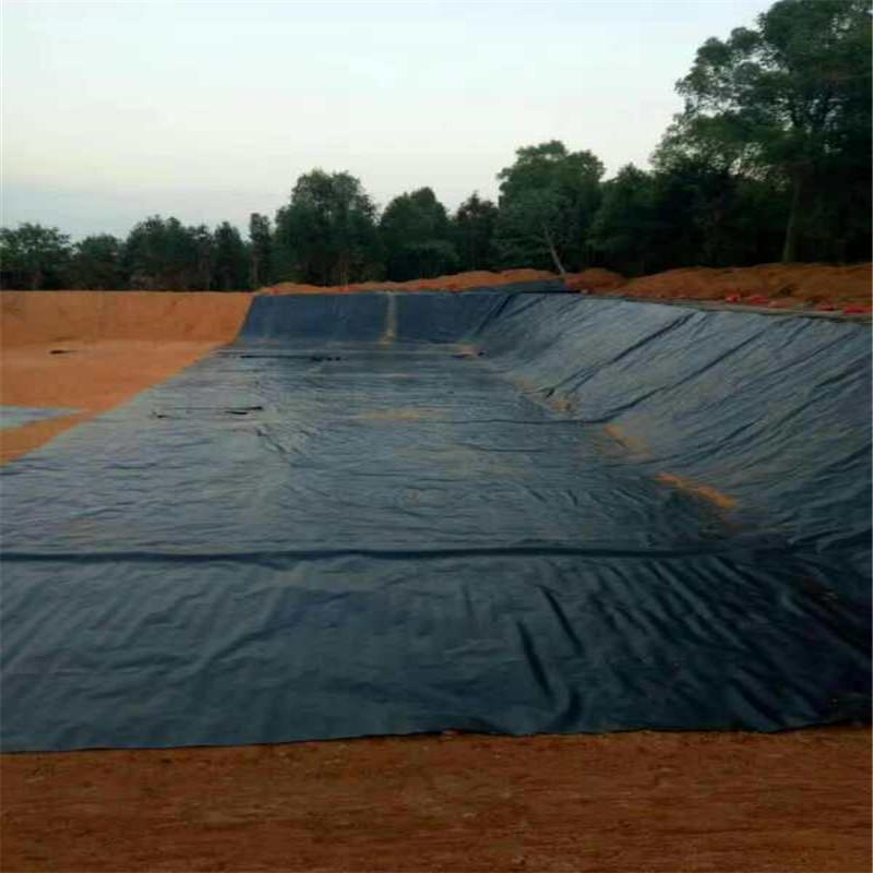 鱼池水蜜桃久久夜色成人精品膜